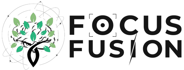 Focus Fusion